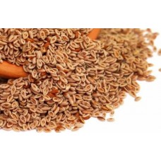 KARNIYARIK OTU TOHUMU - PSYLLIUM